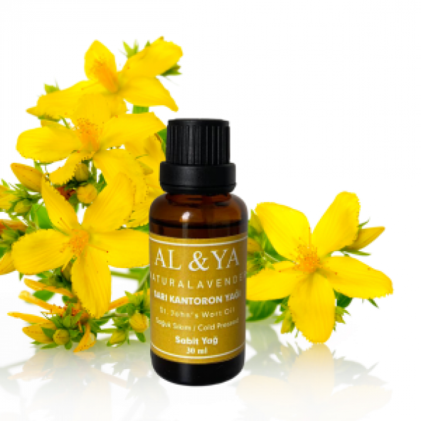 Sarı Kantoron Yağı