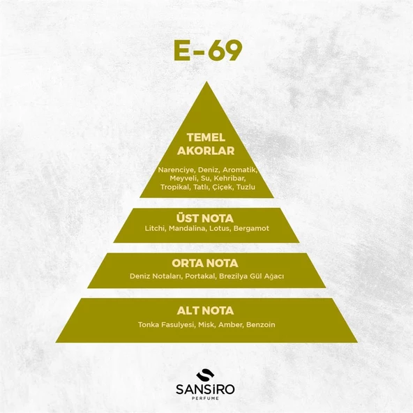 Sansiro E 69 Edp Erkek Parfüm 50 ml Kalıcı Koku - 4