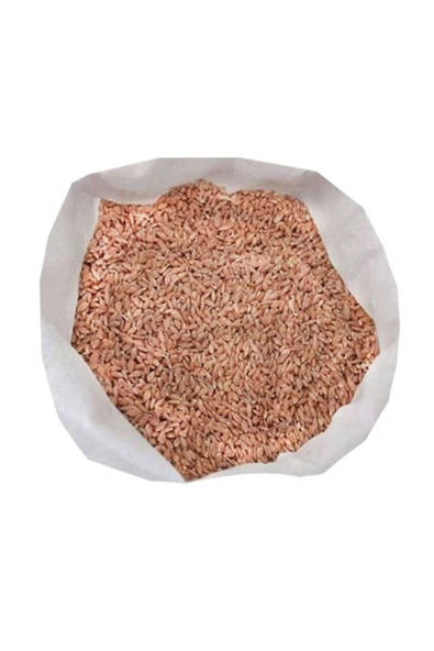 KAVILCA BUĞDAYI TANELİ 5KG