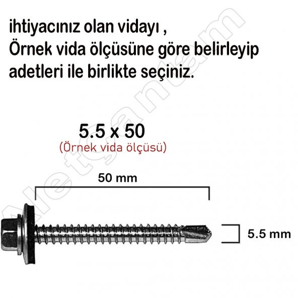 Trapez Vida Çatı Vidası Pullu Vida 5.5X60 _ 50 Adet - Resim 2