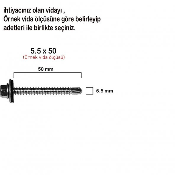 Trapez Vida Çatı Vidası Pullu Vida 5.5X25 _ 100 Adet - Resim 2
