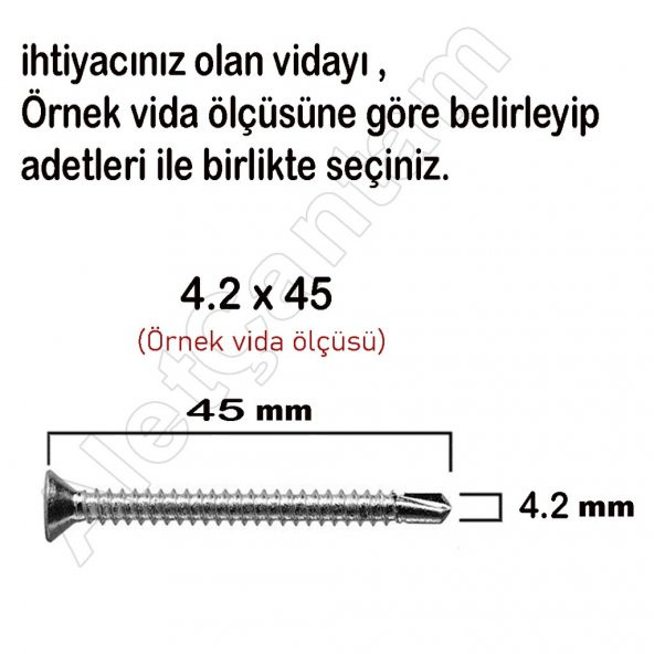 Matkap Uçlu Vida Akıllı Apex Vidası 4.8x16 - 100 Adet - 2