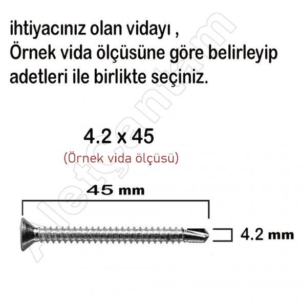 Matkap Uçlu Vida Akıllı Apex Vidası 3.9x25 - 100 Adet - 2