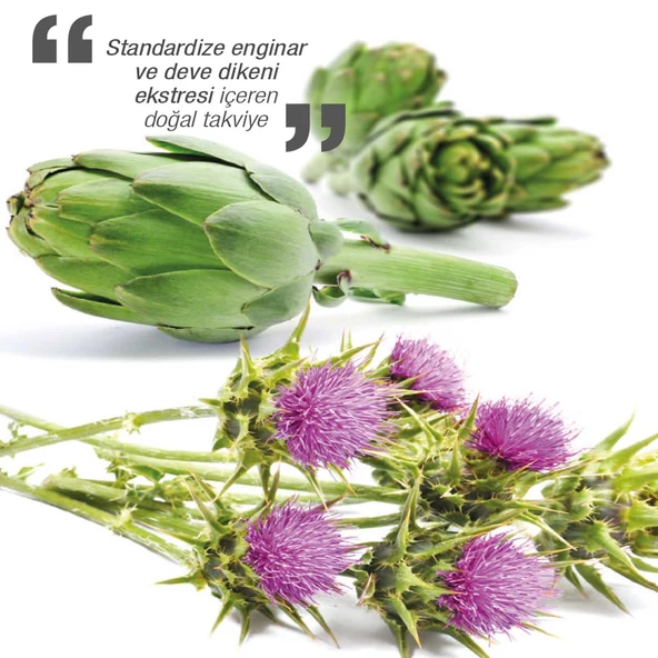 Dinamis Standardized Extract Artichoke Milk Thistle 60 Kapsül - 2