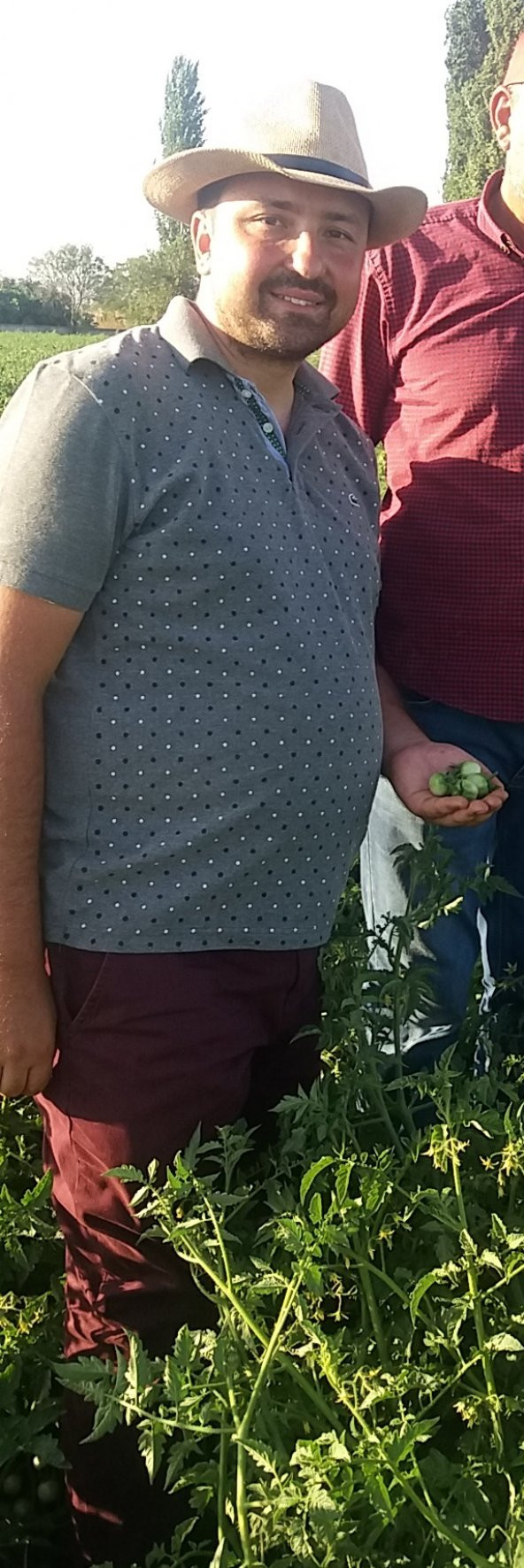 Domates Tohumu Cherry - 1 G (~ Takribi 150 Tohum) - 4