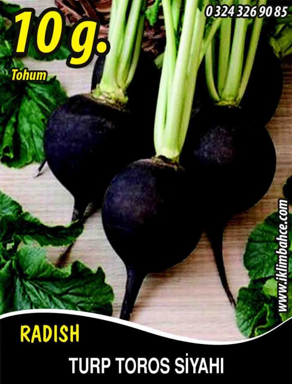 Turp Tohumu Toros Siyahı - 10 G (~ Takribi 600 Tohum)