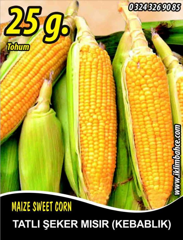 Tatlı Mısır Tohumu Kompozit Tatlı Şeker Pk 25 G. (~ Takribi 70 Tohum)
