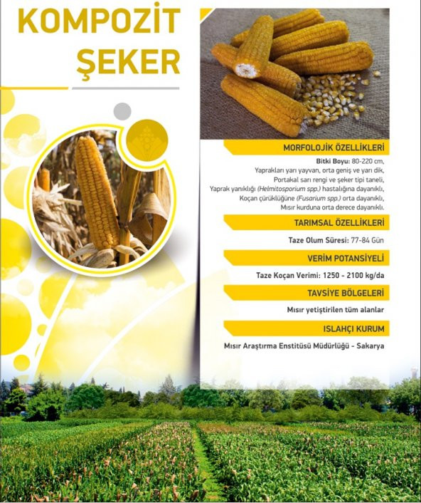 Tatlı Mısır Tohumu Kompozit Tatlı Şeker Pk 25 G. (~ Takribi 70 Tohum) - 2