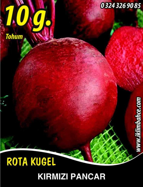 Kırmızı Pancar Tohumu - 10 G. (~ Takribi 550 Tohum)