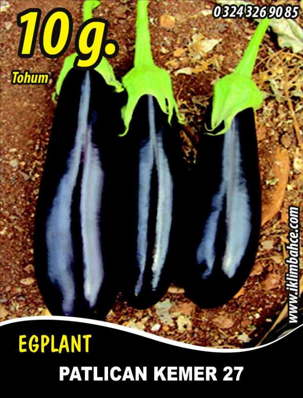 Patlıcan Tohumu Kemer 27 - 10 G. (~ Takribi 1300 Tohum)