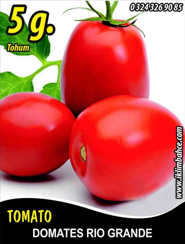 Domates Tohumu Rio Grande - 5 G (~ Takribi 750 Tohum)