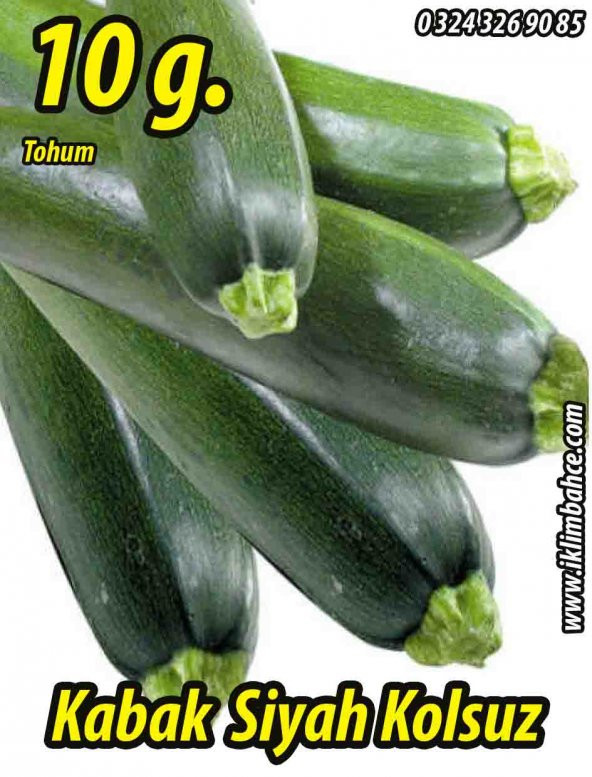 Kabak Tohumu Siyah Dolmalık 10 G. (~ Takribi 35 Tohum)