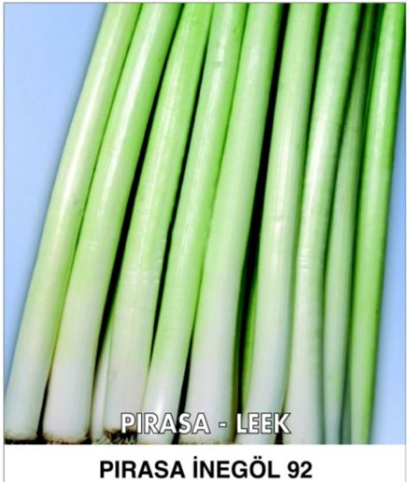 Pırasa Tohumu İnegöl 92 - 10 G (~ Takribi 2000 Tohum) ürün görseli 1