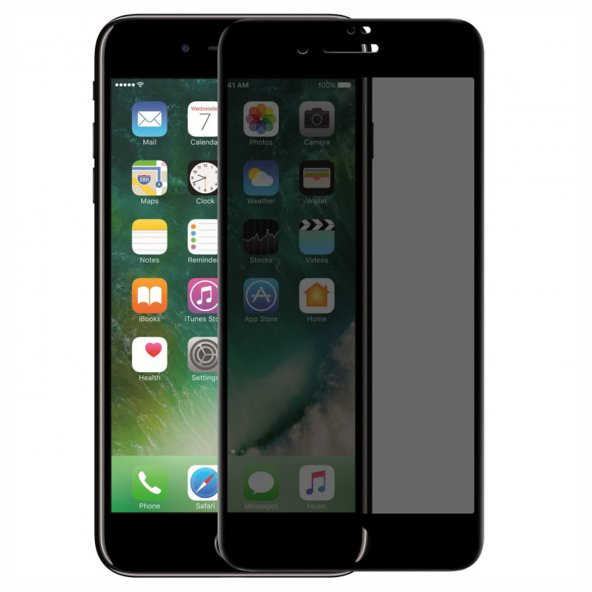 iPhone 6 / 6s Hayalet Privacy Gizli Seramik Mat Ekran Koruyucu Siyah