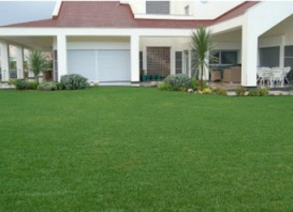 Çim Tohumu Karışım Spot - 4 M - 10 Kg - 4