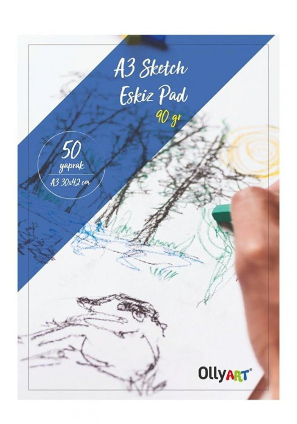 Eskiz Defteri A-3 Dokulu Kağıt Kara Kalem Çalışma Defteri 50 Yaprak 90 gr 29.7x42 cm 1 Paket