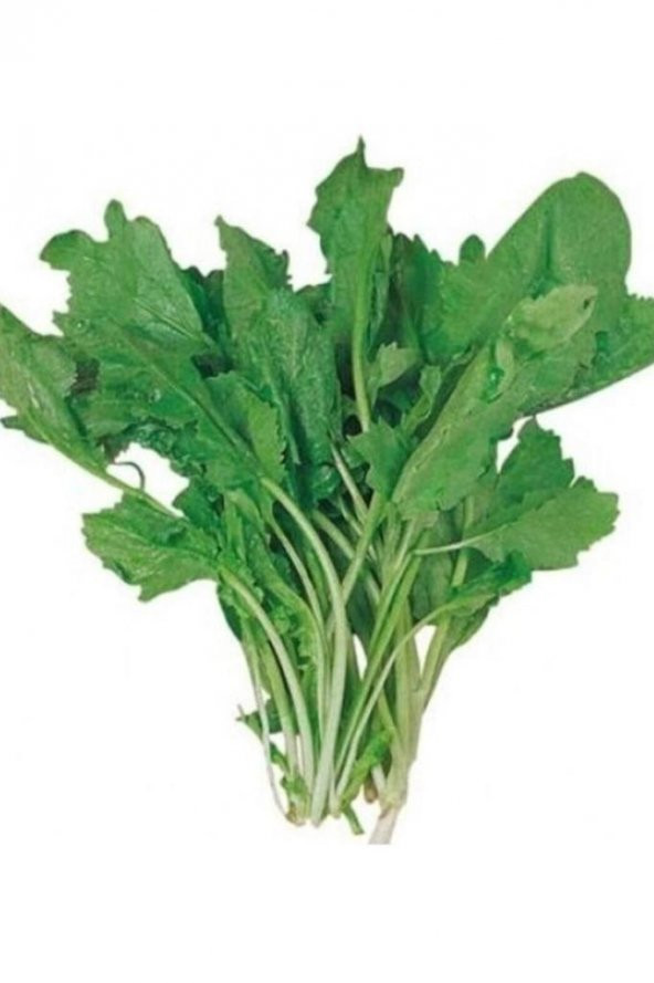 Tere Tohumu 10 Gr - 2