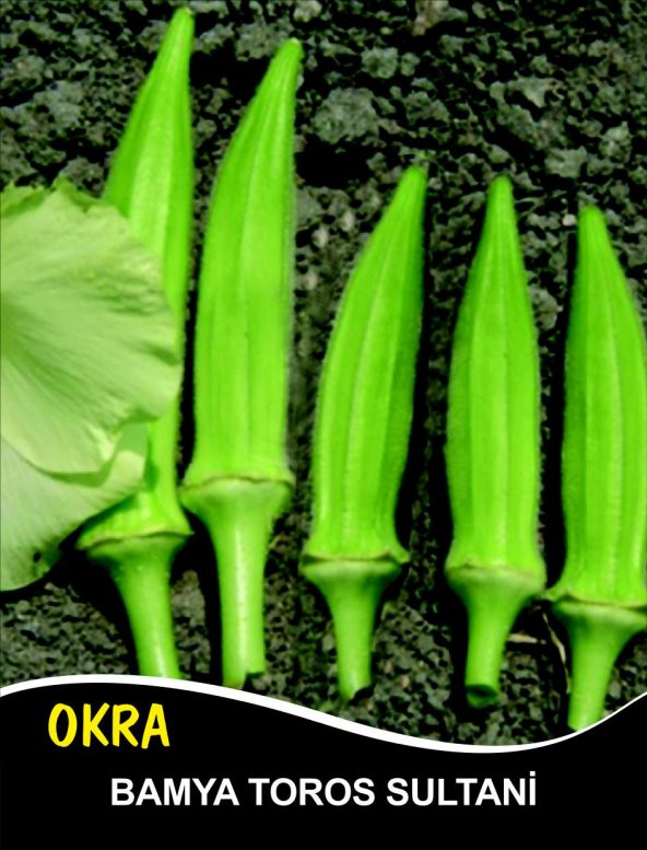 Bamya Tohumu Toros Sultani - 10 G  (~ Takribi 100 Tohum)