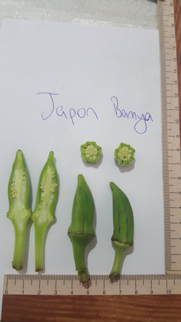 Bamya Tohumu Japon- 10 G  (~ Takribi 100 Tohum) ürün görseli 1
