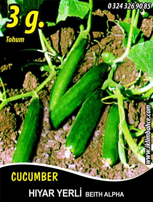 Hıyar Tohumu Salatalık Yerli - 3 G (~ Takribi 60 Tohum)