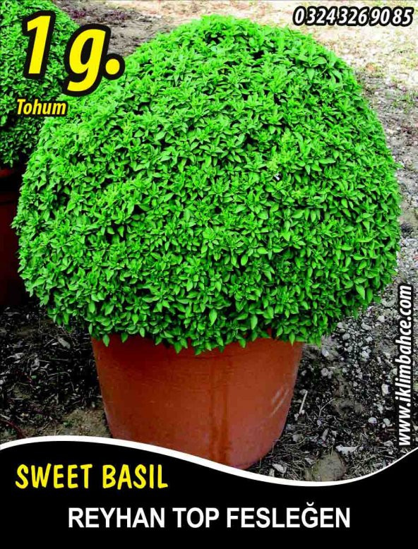 Reyhan Tohumu Top Fesleğen Sinekkanadı - ~1 G (~ Takribi 350 Tohum)