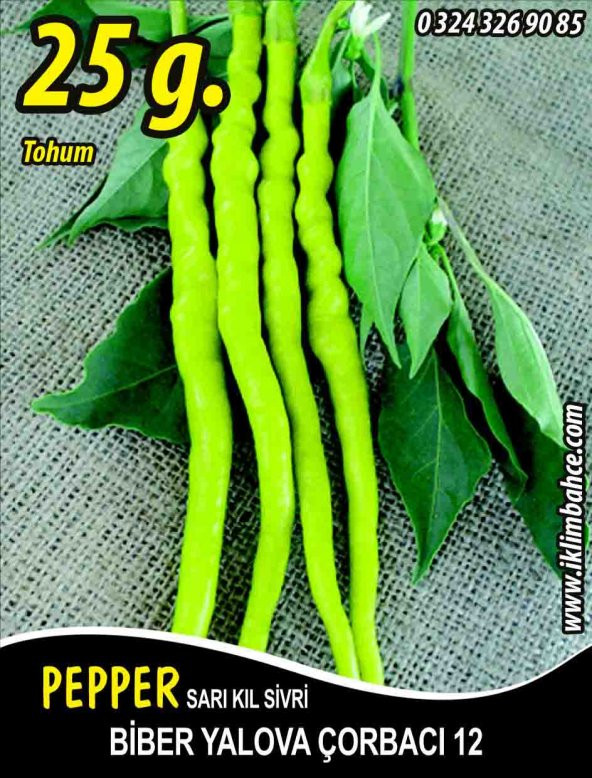 Biber Tohumu Yalova Çorbacı 12 - 25g. (~ Takribi 2000 Tohum)