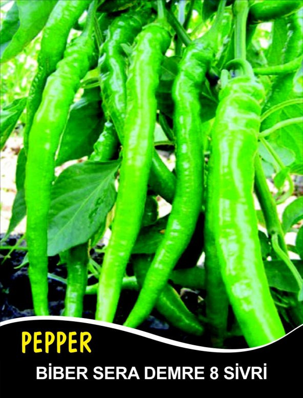 Biber Tohumu Sera Demre 8 - 25 G. (~ Takribi 2000 Tohum)