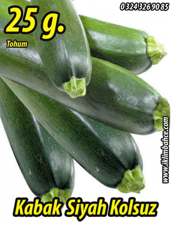 Kabak Tohumu Siyah Dolmalık - 25 G. (~ Takribi 90 Tohum)