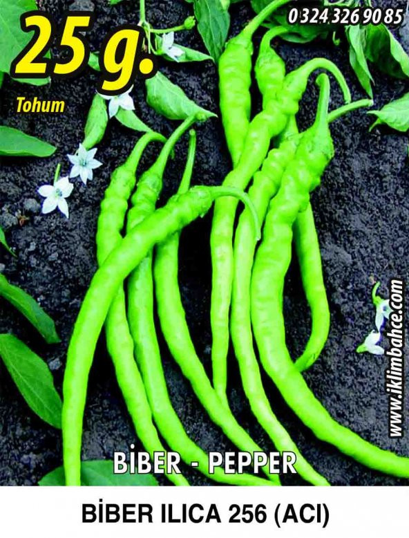 Biber Tohumu Ilıca 256 Acı Sivri 25 g. (~ Takribi 3750 Tohum)