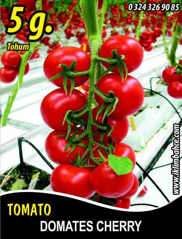 Domates Tohumu Cherry - 5 G. (~ Takribi 750 Tohum)