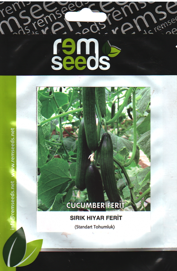 Hıyar Tohumu Sırık Hibrit F1 - 1 G - ~ 20 Adet Çekirdek