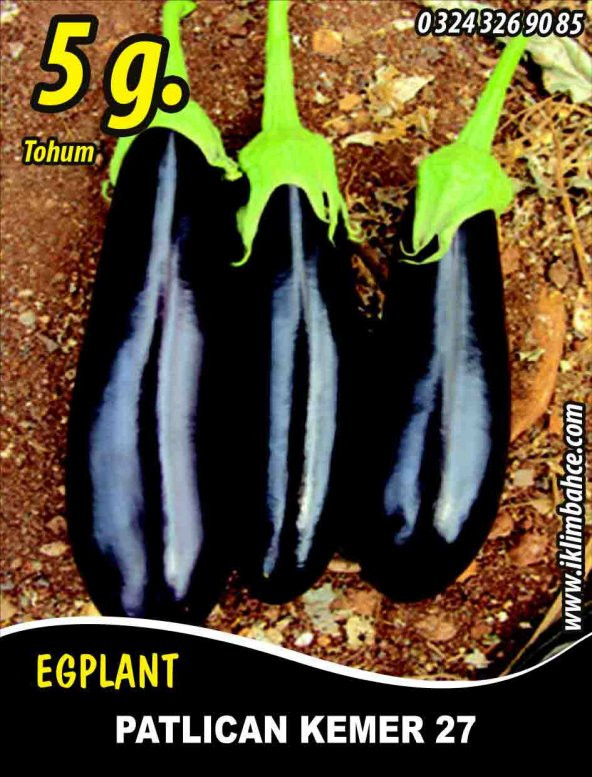 Patlıcan Tohumu Kemer 27 - 5 G (~ Takribi 650 Tohum)