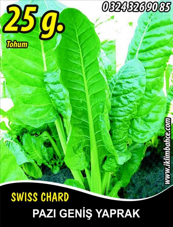 Pazı Tohumu ( Pezik ) - 25 G. (~ Takribi 500 Tohum)