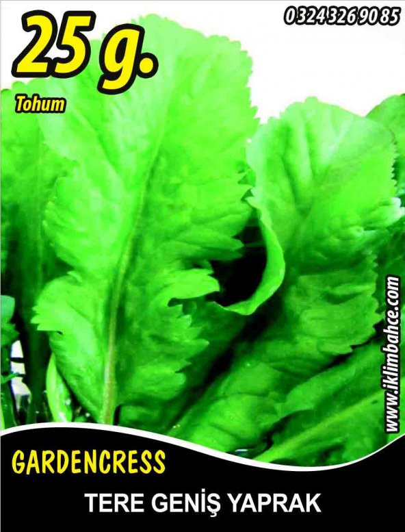 Tere Tohumu Toros Yeşili - 25 G. (~ Takribi 6250 Tohum)