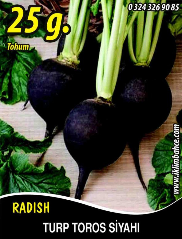 Turp Tohumu Toros Siyahı - 25g (~ Takribi 1500 Tohum)