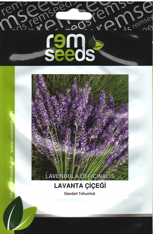 Lavanta Tohumu - Lavandula Offıcınalıs (~ Takribi 40 Tohum)