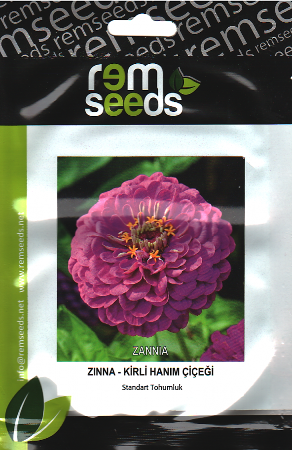 Zinnia Çiçek Tohumu (Kirli Hanım Çiçeği) - Zınnıa (~ Takribi 25 Tohum)