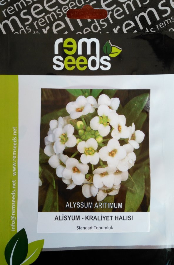 Alisyum Çiçek Tohumu (Kuduz Otu) - Kralıyet Halısı - Alyssum (~ Takribi 30 Tohum)