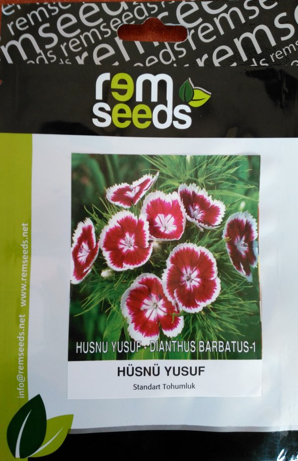 Hüsnü Yusuf Çiçek Tohumu - Dıanthus Barbatus - 1 (~ Takribi 50 Tohum)