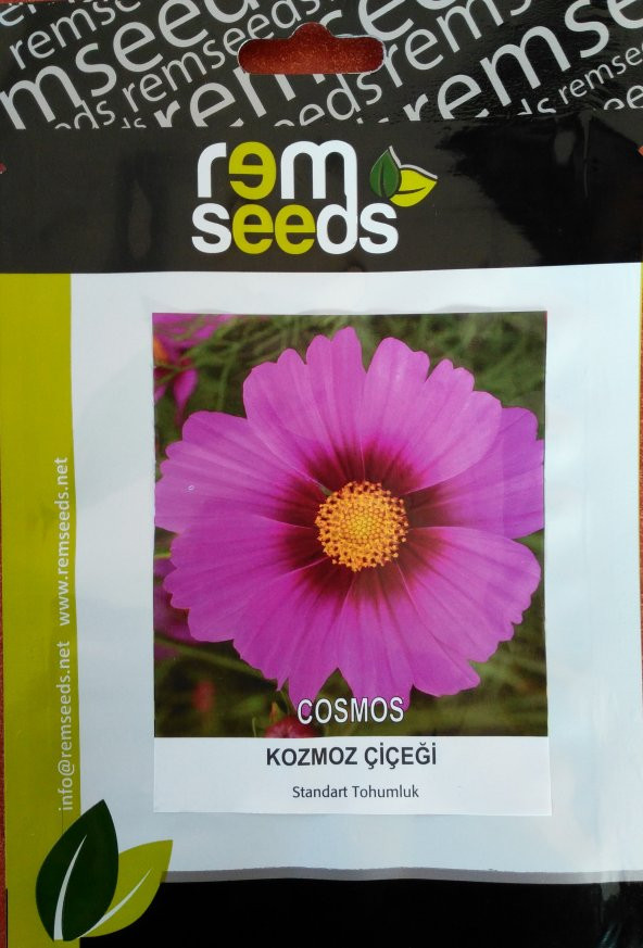 Kozmos - Cosmos (~ Takribi 25 Tohum)