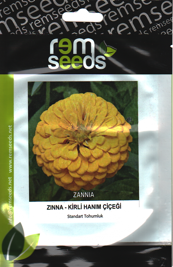 Zinnia Çiçek Tohumu (Kirli Hanım Çiçeği) Sarı Renk 1 (~ Takribi 25 Tohum)