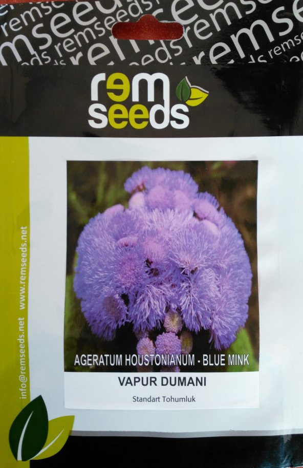 Vapur Dumanı Çiçeği Tohumu - Ageratum Houstonıanum (~ Takribi 50 Tohum)