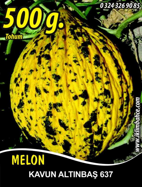 Kavun Tohumu Kırkağaç 637 /- 500 g.
