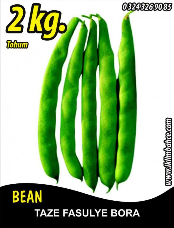 Fasulye Tohumu Bora ( Oturak ) - 2 KG