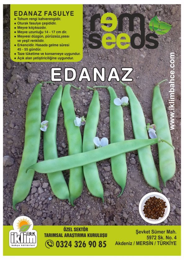 Fasulye Tohumu Edanaz ( Oturak ) - 2 Kg - 2