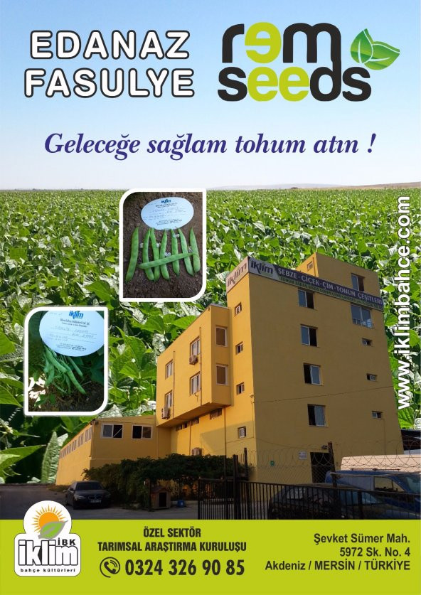 Fasulye Tohumu Edanaz ( Oturak ) - 2 Kg - 3