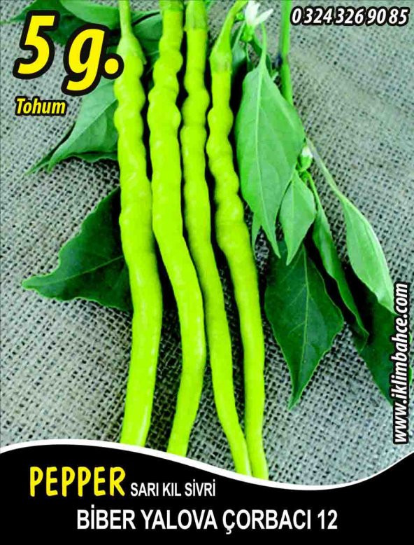 Biber Tohumu Yalova Çorbacı 12 - 5 G. (~ Takribi 400 Tohum)