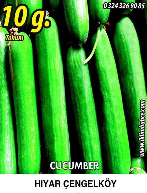Hıyar Tohumu Salatalık Çengelköy - 10 G (~ Takribi 200 Tohum)