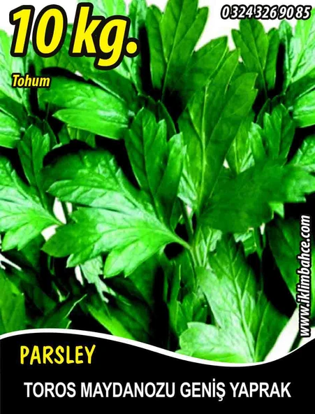 Maydanoz Tohumu Toros Maydanozu 10 Kg (Yerli) ürün görseli