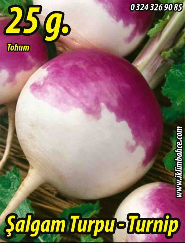 Şalgam Turpu Tohumu - 25 g. (~ Takribi 1500 Tohum)